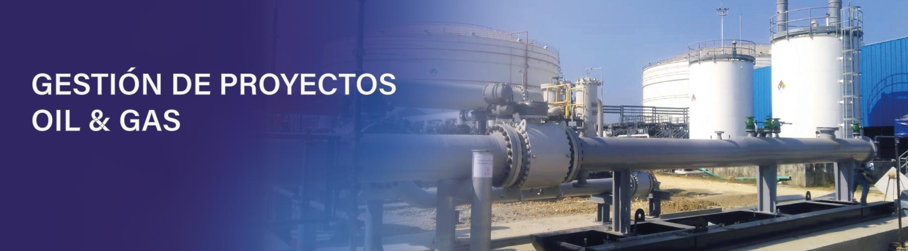 Gerencia y Aseguramiento Técnico de proyectos de Transporte y Logística de Hidrocarburos con una vista integral del negocio y sus metas